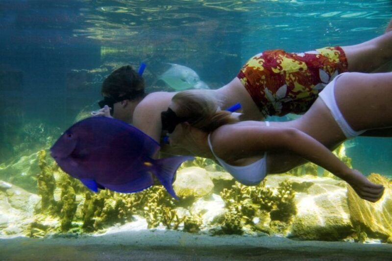 Puerto Plata: Ocean World Adventure Park Day Pass - Included Amenities