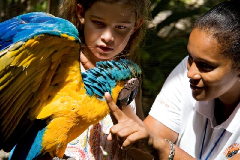 Puerto Plata: Ocean World Adventure Park Day Pass - Frequently Asked Questions