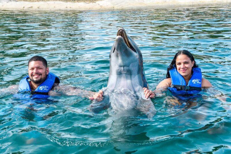 Puerto Plata: Ocean World Adventure Park Swim With Dolphins - Swim With Dolphins