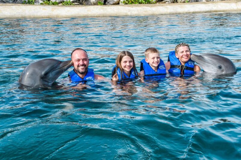 Puerto Plata: Ocean World Adventure Park Swim With Dolphins - Dolphin and Sea Lion Shows