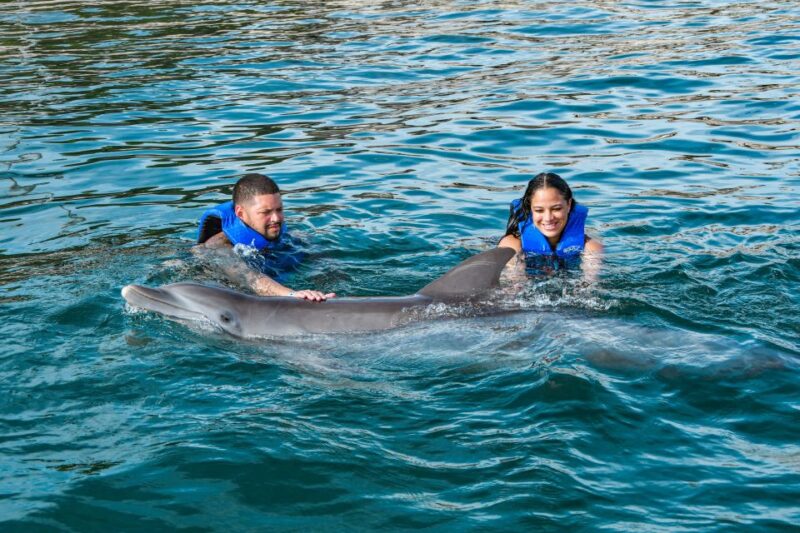 Puerto Plata: Ocean World Adventure Park Swim With Dolphins - Important Considerations for Visitors