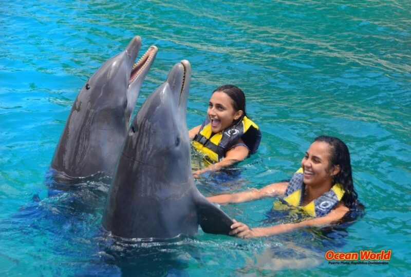 Puerto Plata Ocean World Adventure Park Taino Bay Amber Cove - Highlights of the Experience