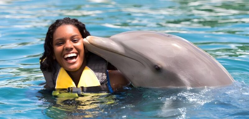 Puerto Plata Ocean World Adventure Park Taino Bay Amber Cove - Language and Communication