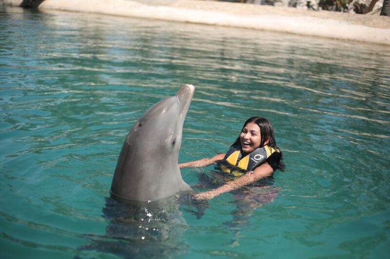 Puerto Plata Ocean World Dolphin Swim - Accessibility and Restrictions