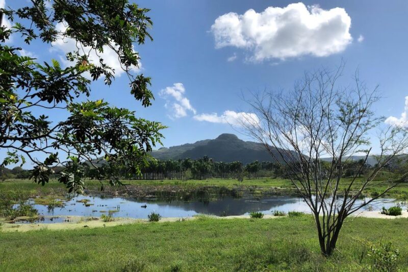 Puerto Plata Off-Road ATV Adventure - Participation Requirements