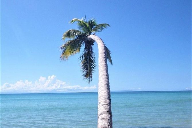 Puerto Plata-Round Trip Shuttle- 1-6 Passangers - Accessibility and Requirements
