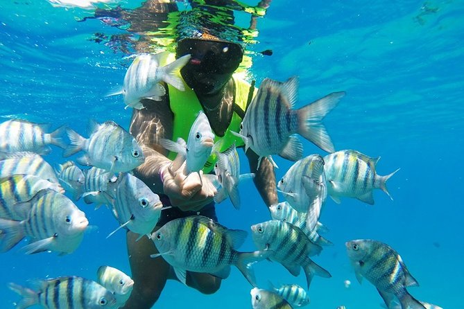 Puerto Plata Shore Excursion, Snorkeling Tour & Sosua Beach Day - Meeting and Pickup