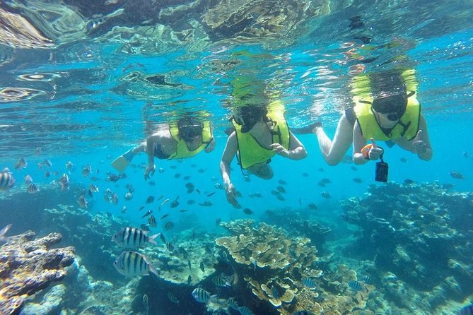 Puerto Plata Shore Excursion, Snorkeling Tour & Sosua Beach Day - Snorkeling Locations