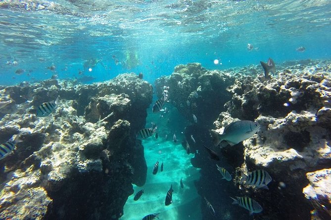 Puerto Plata Shore Excursion, Snorkeling Tour & Sosua Beach Day - Beach Relaxation
