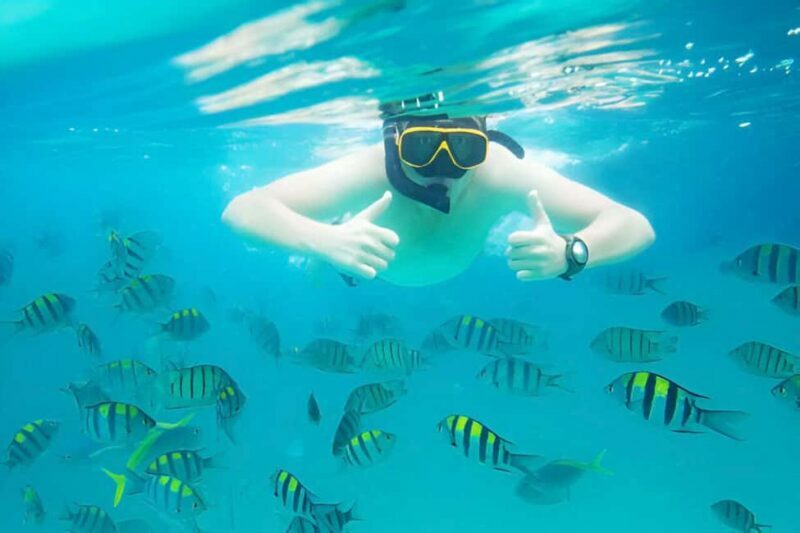 Puerto Plata: Snorkeling Excursion to Sosúa beach - Key Points