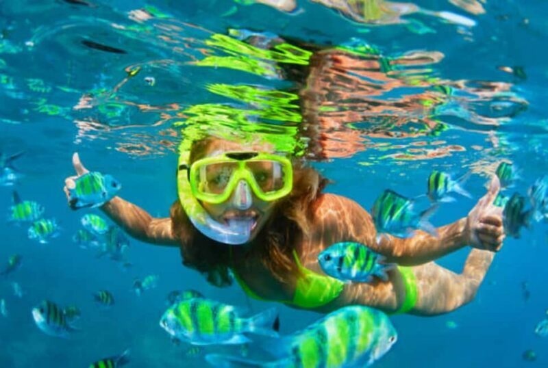 Puerto Plata: Snorkeling Excursion to Sosúa beach - An In-Depth Look at the Snorkeling Excursion