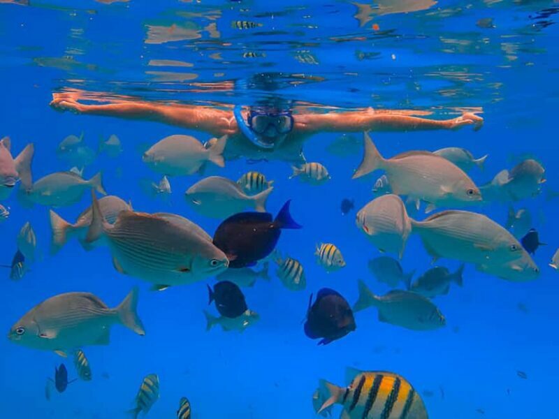Puerto Plata: Snorkeling Excursion to Sosúa beach - Who Should Consider This Tour?