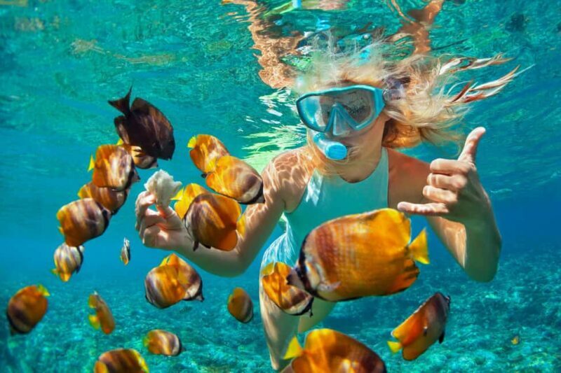 Puerto Plata: Sosúa Catamaran Day Trip with Lunch and Drinks - Key Points