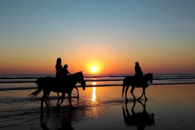 Puerto Plata: Sunset Beach Horseback Riding - About Your Stay