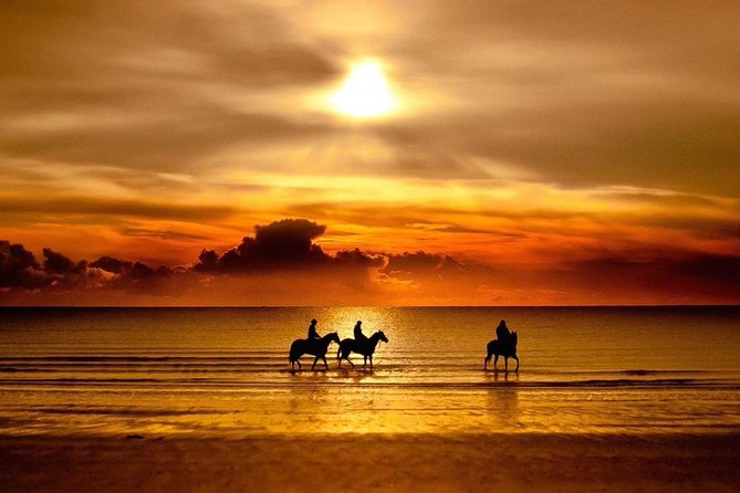 Puerto Plata: Sunset Beach Horseback Riding - Whats Included