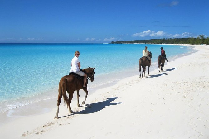 Puerto Plata: Sunset Beach Horseback Riding - What to Expect