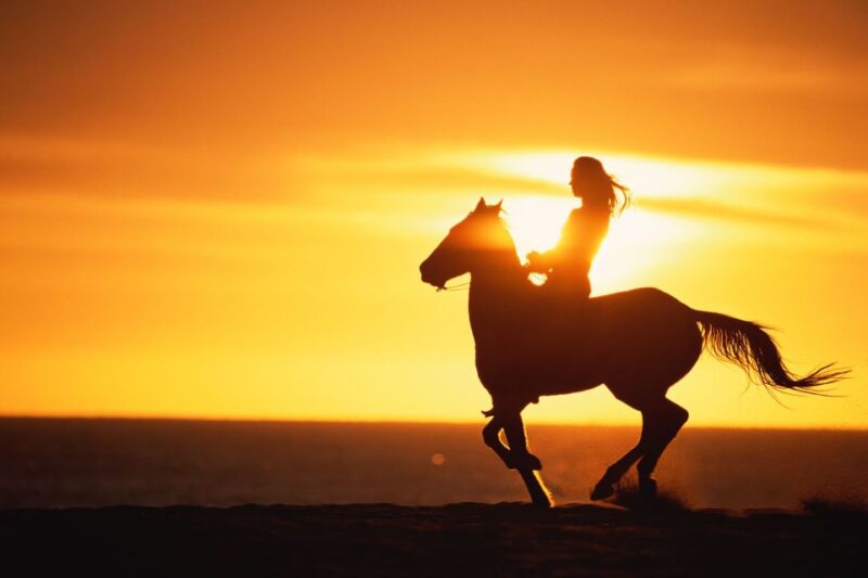 Puerto Plata: Sunset Beach Horseback Riding Tour - Key Points