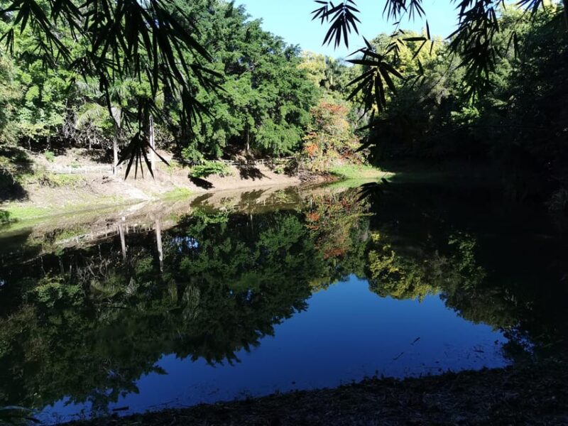Puerto Plata: Taino Valley and Dominican Flavor Experience - Itinerary Highlights