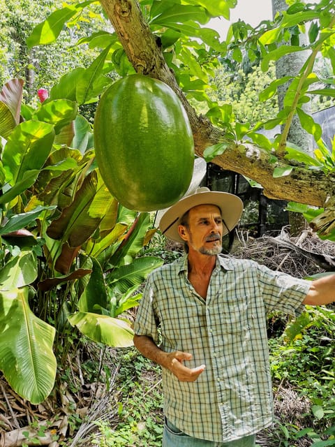 Puerto Plata: Taino Valley and Dominican Flavor Experience - Included Features