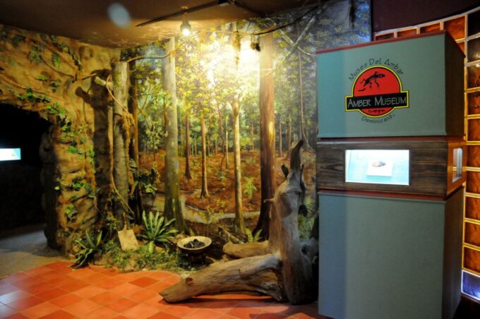 Puerto Plata Tour: History, Culture and Cable Car Ride - Fortress and Museum Exploration