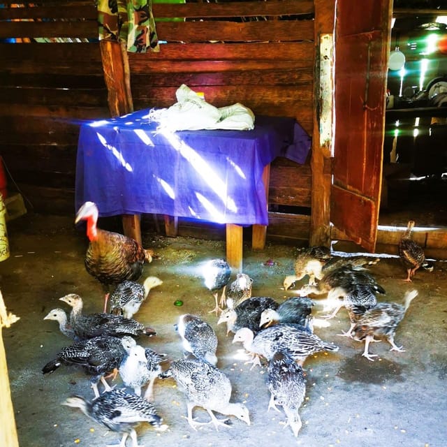 Puerto Plata Trekking - Experience of Nature and Folklore - Experience and Activities