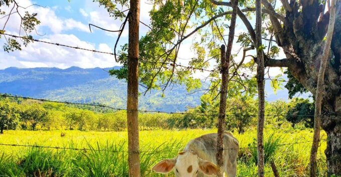 Puerto Plata Trekking - Experience of Nature and Folklore - Cancellation Policy