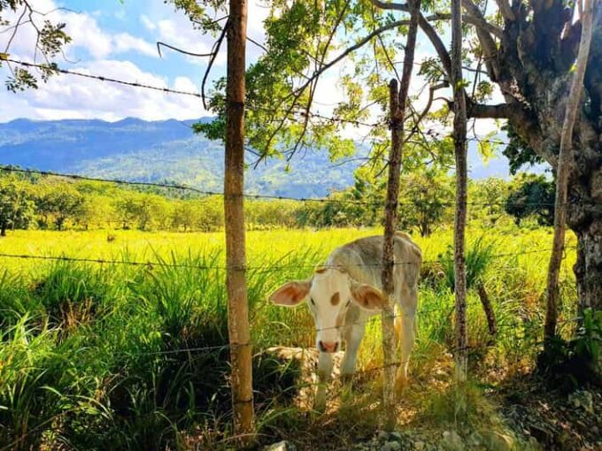 Puerto Plata Trekking - Experience of Nature and Folklore - About the Tour