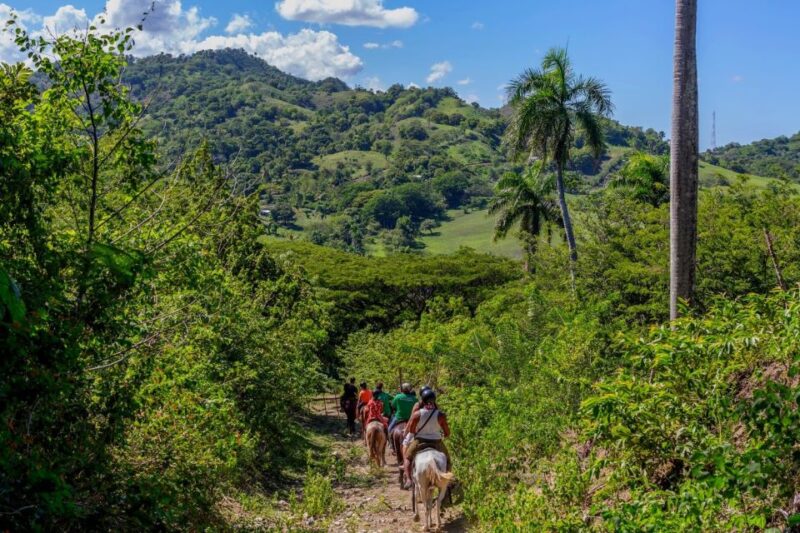 Puerto Plata: Waterfalls, Zip Line Adventure and Horse Ride - Thrill of Zip Lining