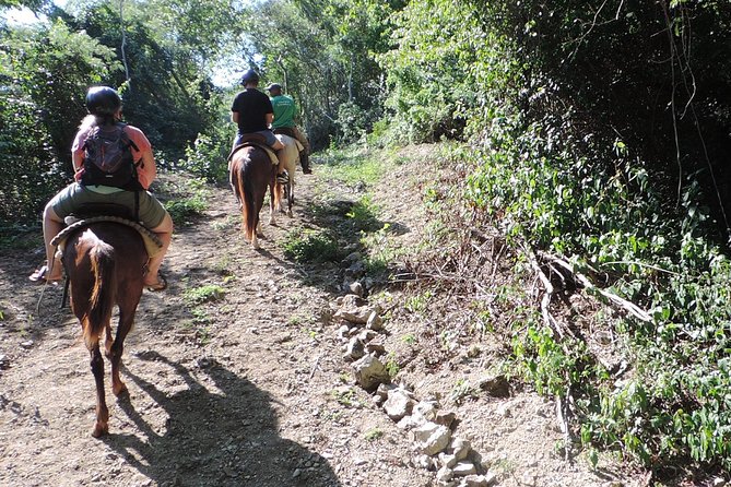 Puerto Plata: Wild & Eco Adventure - Participation Guidelines