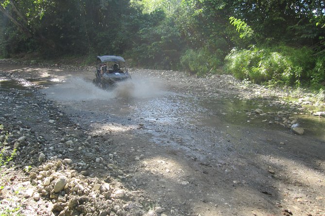 Puerto Plata: Wild & Furious Adventure - Thrill-Seeking Opportunities Galore