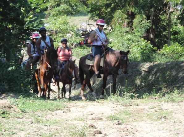 Puerto Plata: Wild, Furious & Eco Adventure - Horseback Riding Through Lush Forests