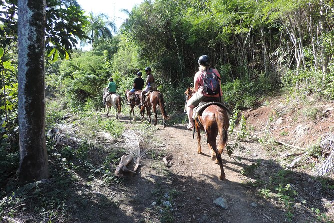 Puerto Plata: Wild, Furious & Eco Adventure - Flexible Scheduling and Cancellation Policy