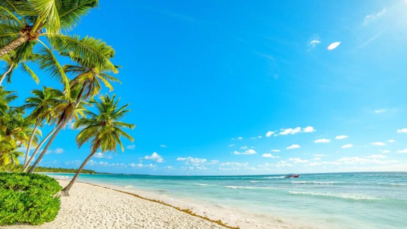 Puerto Plata:Whale Watching+Cayo Levantado W/ Lunch Included - Pricing Details
