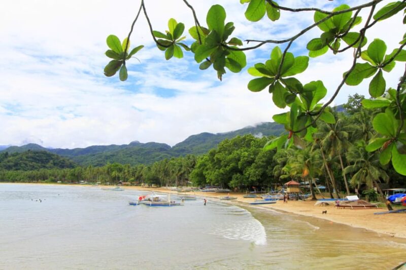 Puerto Princesa: Airconditioned Van Transfers To/From Sabang - Reservation and Cancellation