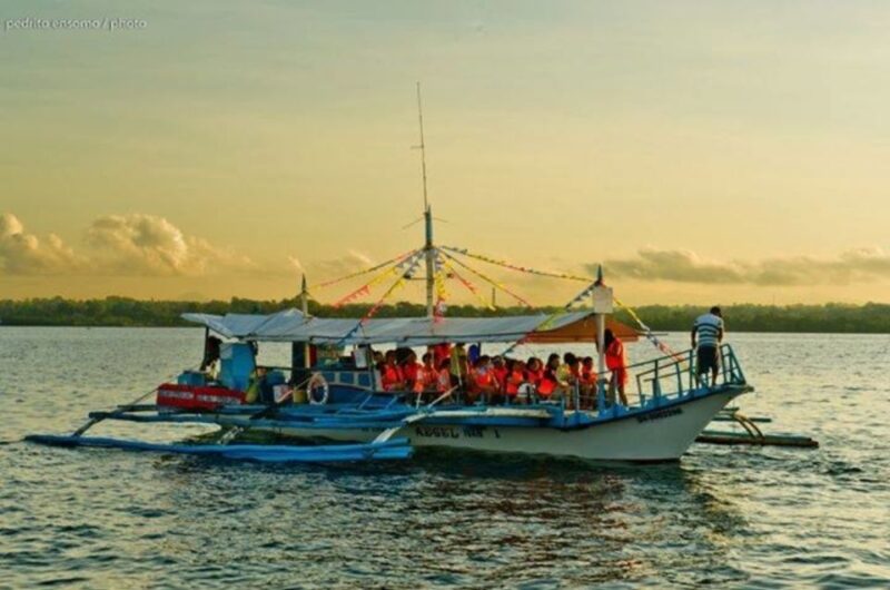 Puerto Princesa: Firefly Watching Bay Cruise With Dinner - What to Bring