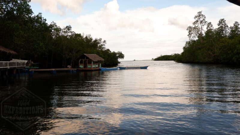 Puerto Princesa: Firefly Watching Paddle Boat Tour & Dinner - Key Points