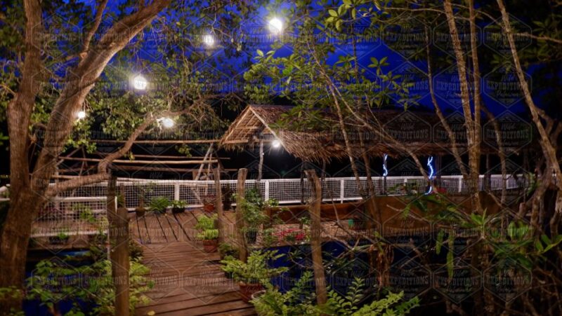 Puerto Princesa: Firefly Watching Paddle Boat Tour & Dinner - Itinerary Details