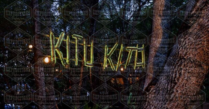 Puerto Princesa: Firefly Watching Paddle Boat Tour & Dinner - Included in the Tour