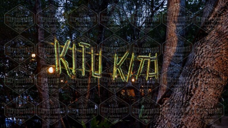 Puerto Princesa: Firefly Watching Paddle Boat Tour & Dinner - Frequently Asked Questions