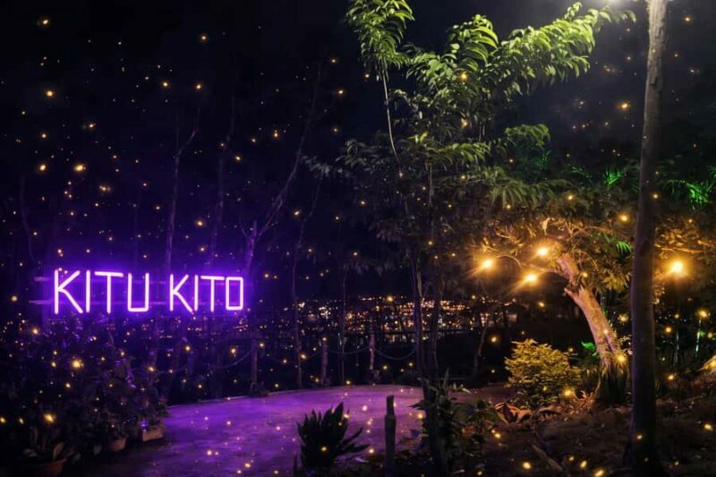 Puerto Princesa: Firefly Watching & Seasonal Plankton Tour - Introduction: A Nighttime Wonderland in Palawan