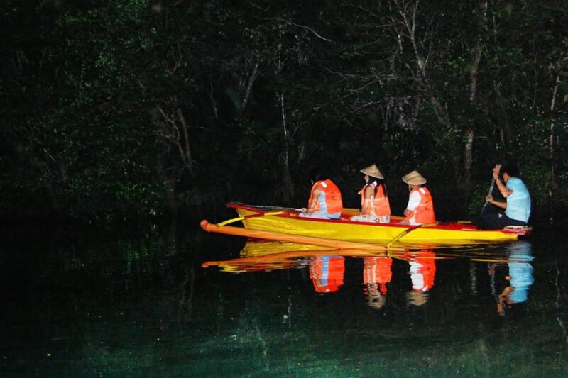 Puerto Princesa Firefly Watching (Shared Tour) - Important Information