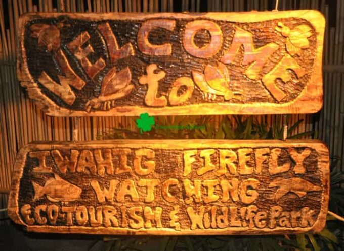 Puerto Princesa Firefly Watching (Shared Tour) - Frequently Asked Questions