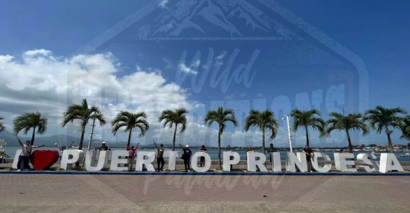 Puerto Princesa: Guided City Walking Tour With Snacks - Included Services