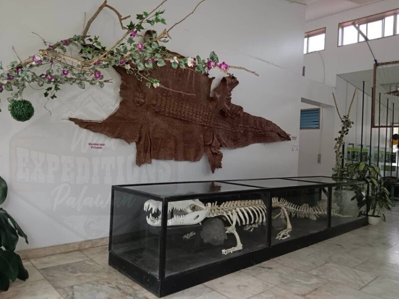 Puerto Princesa: Guided City Walking Tour With Snacks - Preparation and Recommendations
