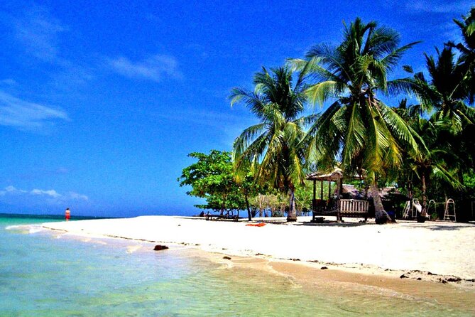 Puerto Princesa: Honda Bay Island Hopping With Buffet Lunch - Tour Overview and Experience