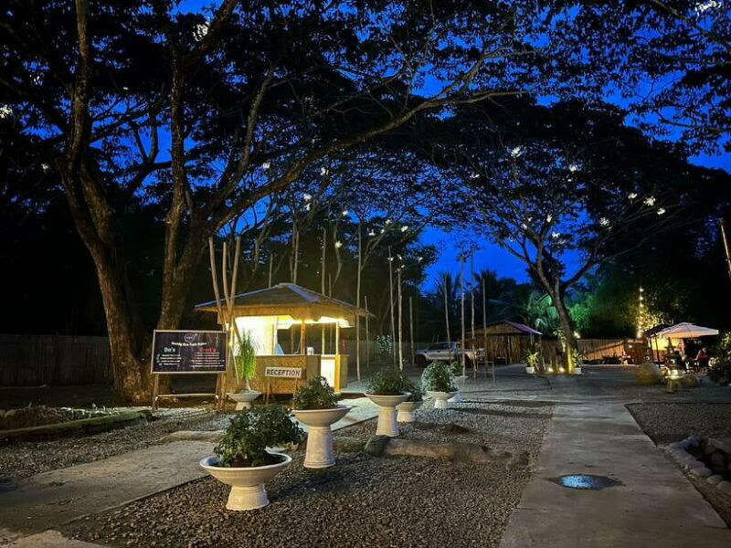 Puerto Princesa: Iwahig Firefly Watching & River Cruise - Key Points