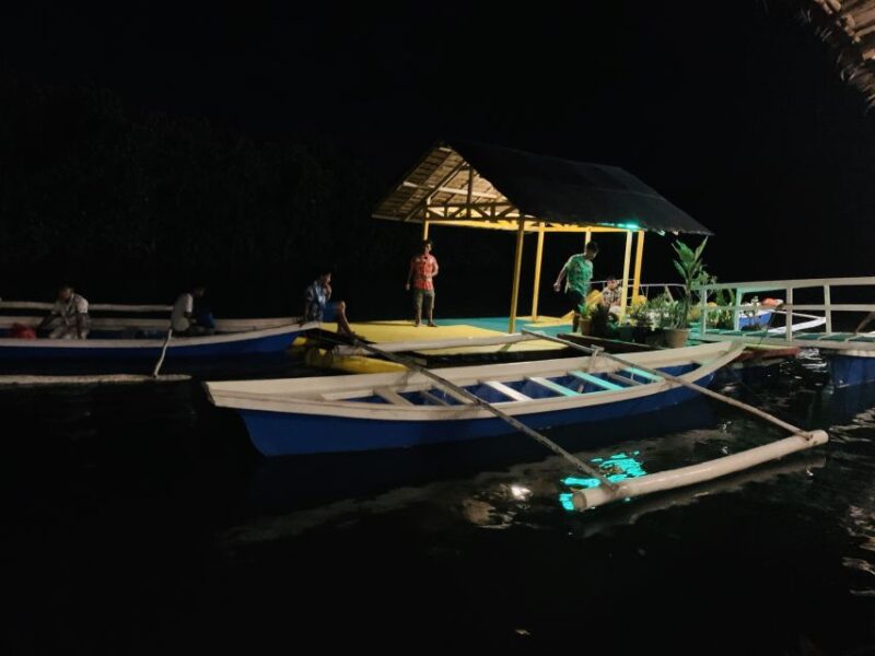Puerto Princesa: Jungle Firefly Watching Boat Tour & Dinner - Location and Duration