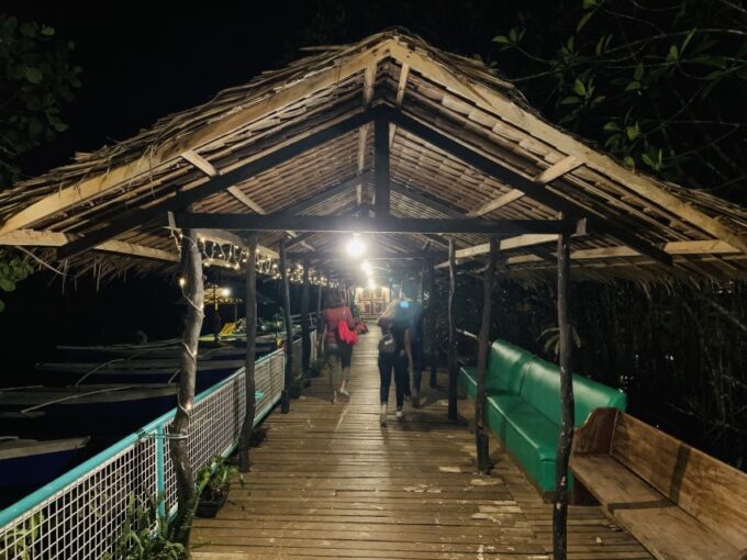 Puerto Princesa: Jungle Firefly Watching Boat Tour & Dinner - Inclusions and Exclusions