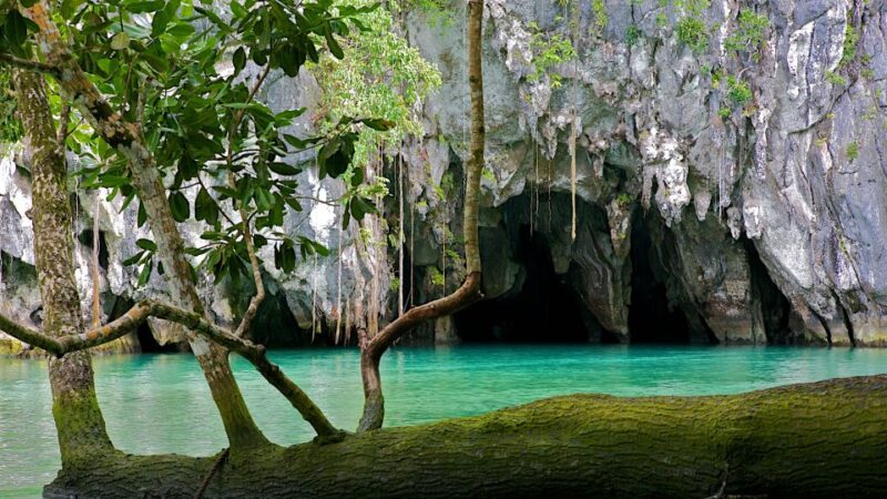 Puerto Princesa: Private Full-Day Tour To Underground River - Pickup and Transportation