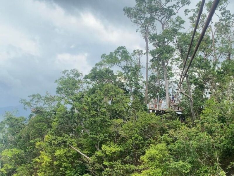 Puerto Princesa: Private Full-Day Tour To Underground River - Experience Highlights
